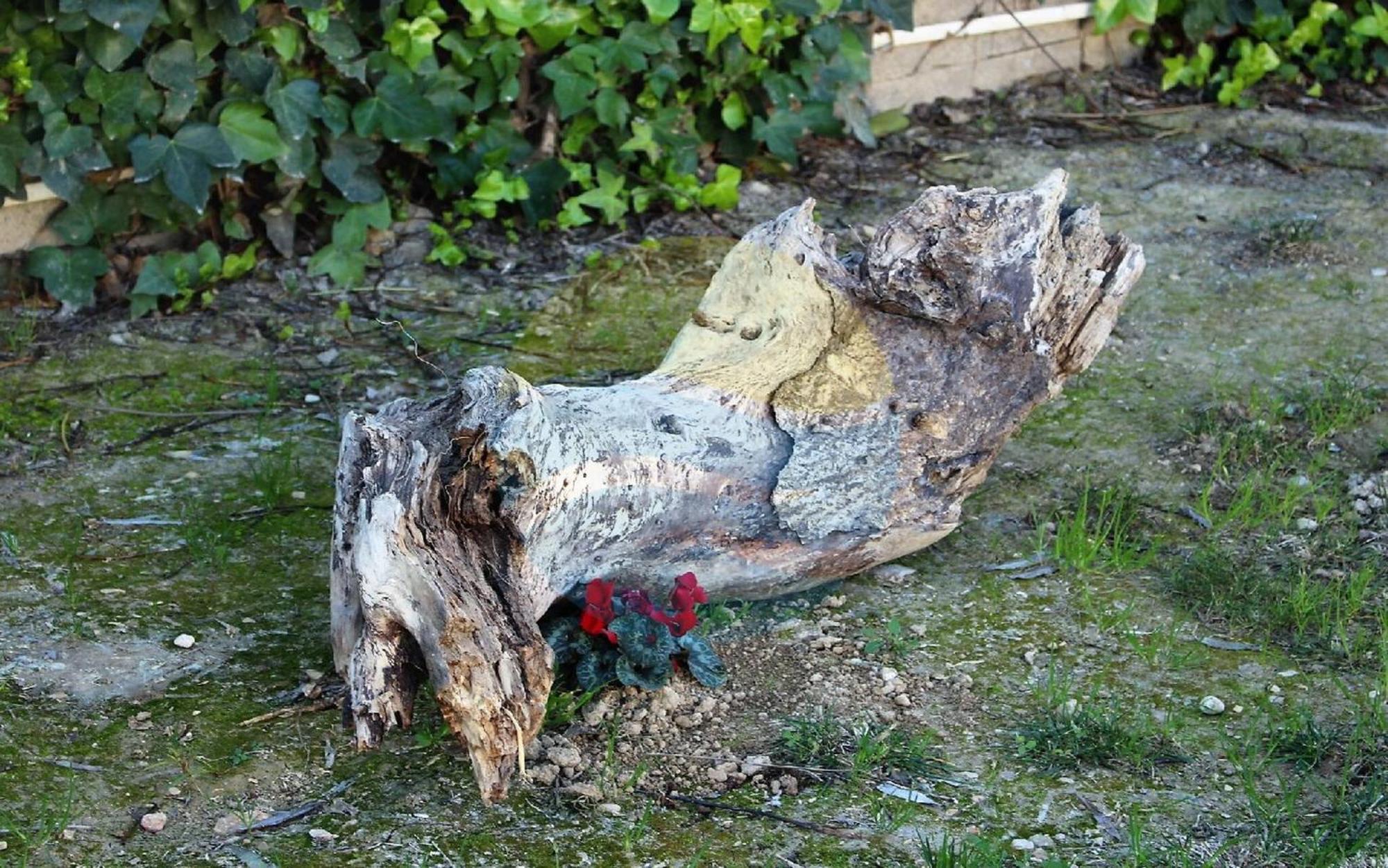 Barraca Tipica Del Delta, Con Piscina, Jardin Y Barbacoa - Deltavacaciones Villa Sant Jaume d'Enveja Bagian luar foto